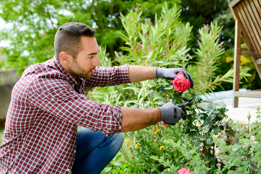 flower gardening