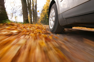 driving in autumn